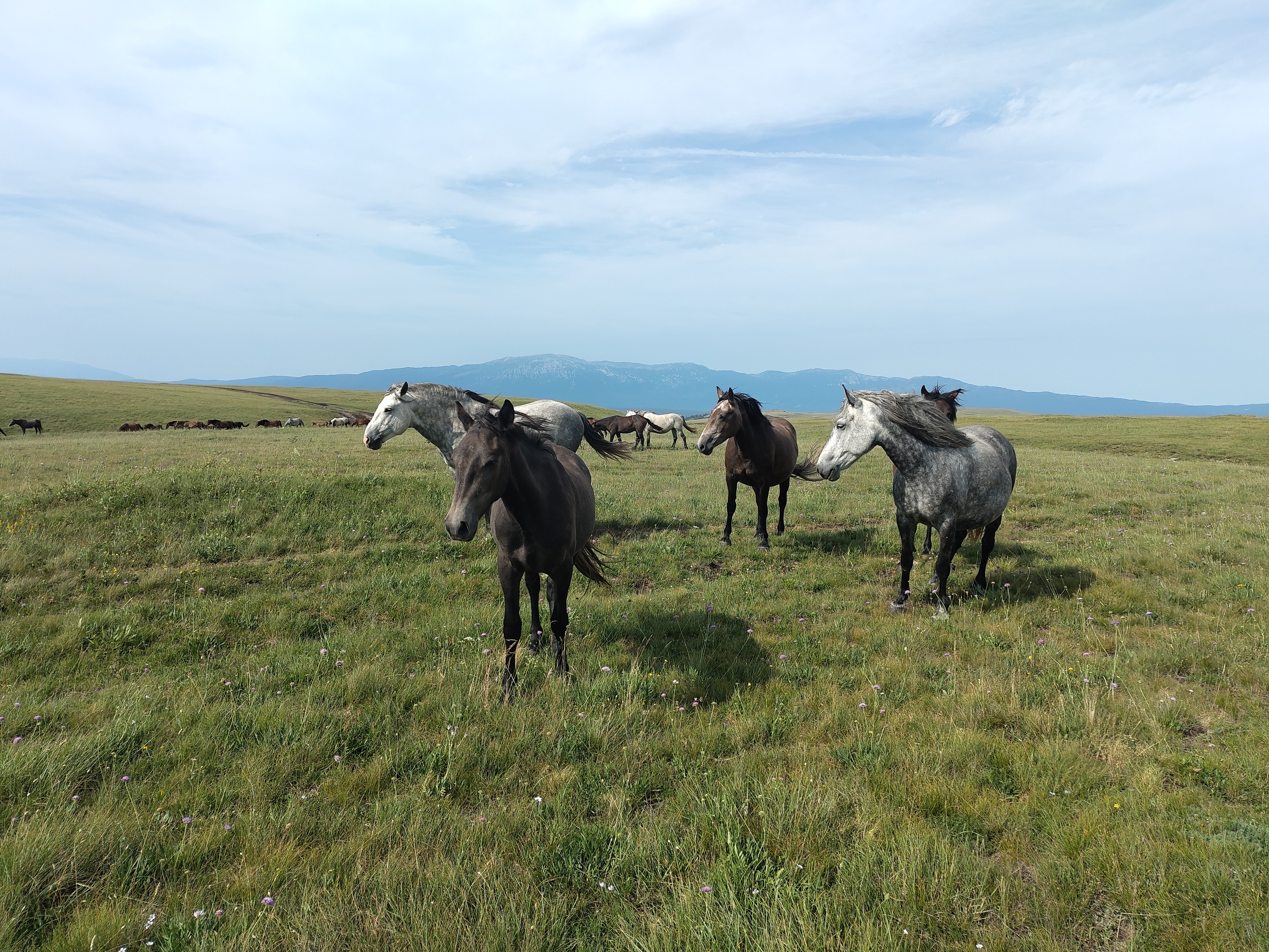 Lac de Mandek - Livno