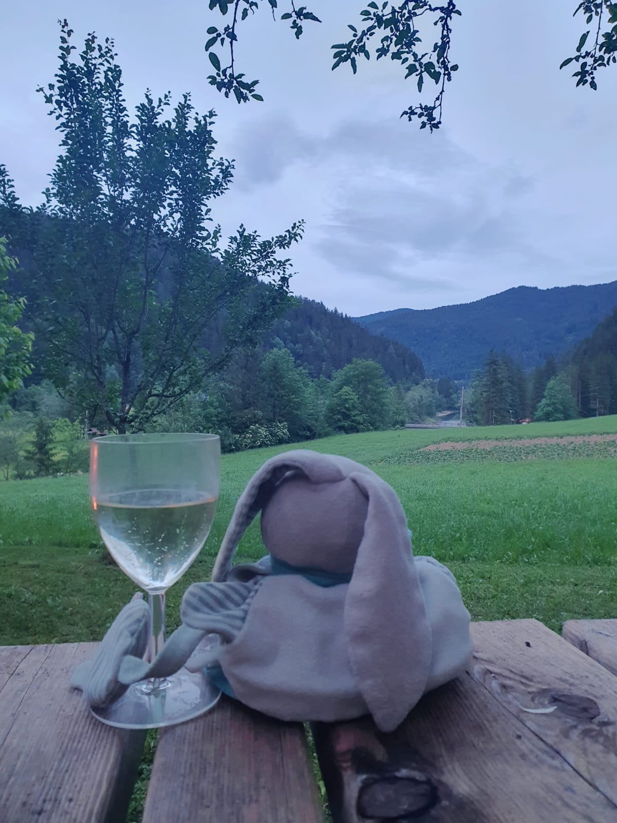 Jacky est bien content d'être arrivé (après un long périple) et de prendre l'apéro avec nous...